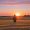 A person contemplates the end of a summer day, symbolizing the art of a graceful exit from a season and managing the Sunday Scaries.